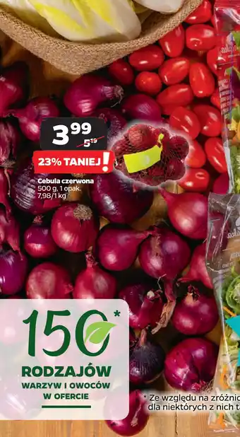 Netto Cebula czerwona oferta