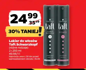 Netto Lakier do włosów Taft Schwarzkopf oferta