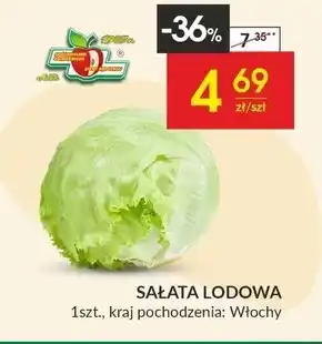 Społem Sałata lodowa oferta