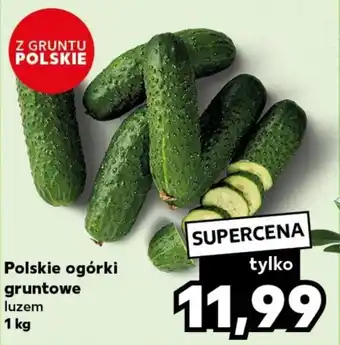 Kaufland Polskie ogórki gruntowe 1 kg oferta