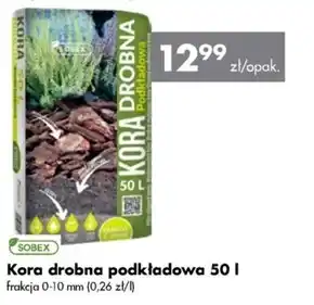 Mrówka Kora Sobex oferta