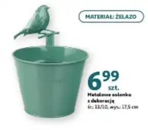 Auchan Osłonka oferta