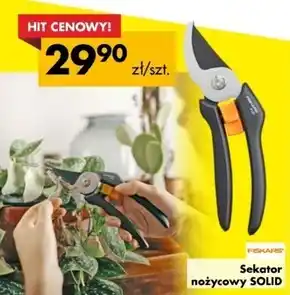 Mrówka Sekator nożycowy Fiskars oferta