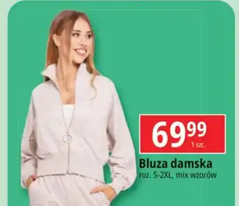 E.Leclerc Bluza damska oferta