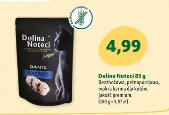 Maxi Zoo Mokra karma dla kota Dolina Noteci oferta