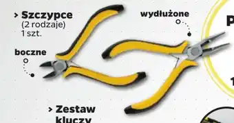Netto Szczypce oferta