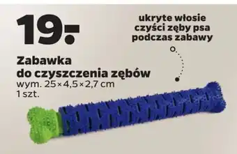 Netto Zabawka do czyszczenia zębów oferta