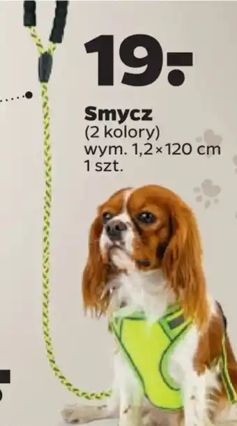 Netto Smycz oferta