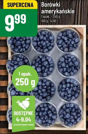 Polomarket Borówki amerykańskie 250g oferta