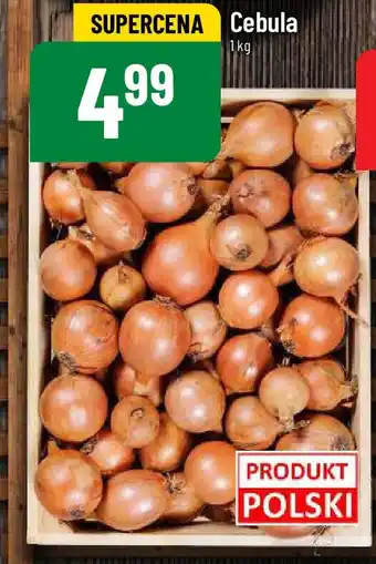 Polomarket Cebula 1 kg oferta