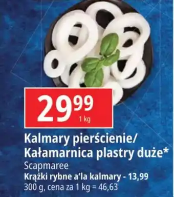 E.Leclerc Kalmary pierścienie/ Kałamarnica plastry duże Scapmaree 1 kg oferta