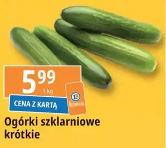 E.Leclerc Ogórki szklarniowe krótkie 1 kg oferta