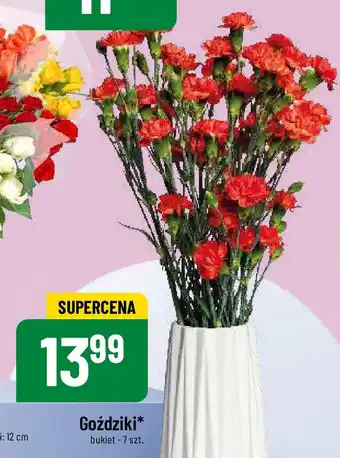 Polomarket Goździki 7szt oferta
