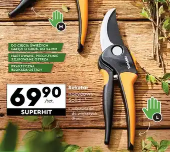 Biedronka Sekator nożycowy Solid L oferta