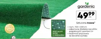 Biedronka Sztuczna trawa oferta