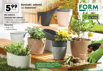 Biedronka Doniczki, osłonki lub konewki 100 g oferta