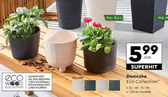 Biedronka Doniczka Eco Collection oferta