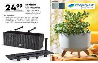 Biedronka Doniczka lub skrzynka z systemem nawadniania oferta