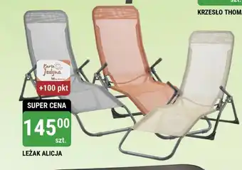 bi1 LEŻAK ALICJA oferta