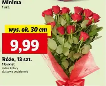 Lidl Róże, 13 szt. oferta
