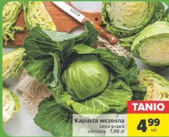 Carrefour Kapusta wczesna oferta