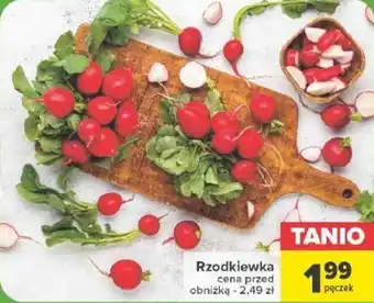 Carrefour Rzodkiewka oferta