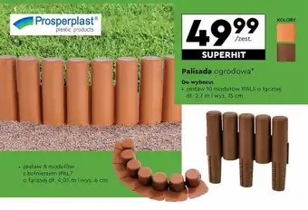 Biedronka Palisada ogrodowa Prospertplast oferta