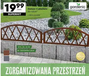 Biedronka Płotek Gardenic oferta