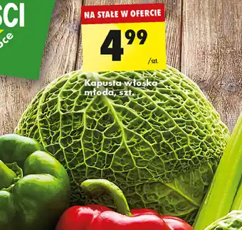 Biedronka Kapusta włoska młoda, szt. oferta