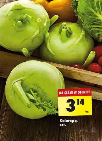 Biedronka Kalarepa, szt. oferta