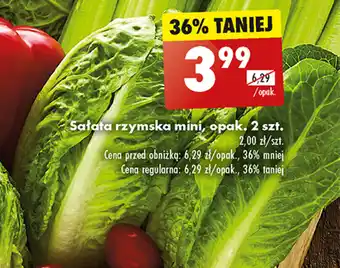 Biedronka Sałata rzymska mini, opak. 2 szt. oferta