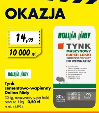 Bricoman Tynk cementowo-wapienny Dolina Nidy oferta