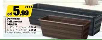 Bricomarche Doniczka oferta