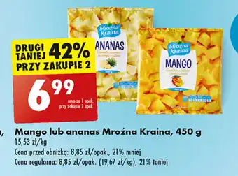 Biedronka Mango lub ananas Mroźna Kraina, 450 g oferta