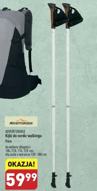 ALDI ADVENTURIDGE Kijki do nordic walkingu oferta