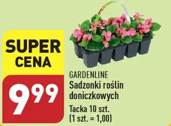 ALDI GARDENLINE Sadzonki roślin doniczkowych 10 szt. oferta