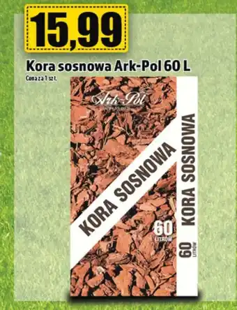 sosnowa Kora