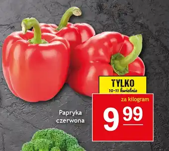 Gram Market Papryka oferta