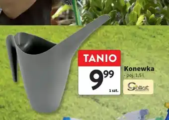 Intermarche Konewka oferta