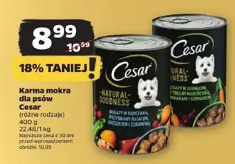 Netto Karma mokra dla psów Cesar 400 g oferta