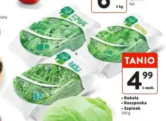 Intermarche Rukola Roszponka Szpinak 100 g oferta