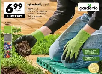 Biedronka Rękawiczki, 2-pak oferta