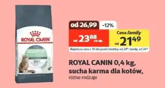 Kakadu Karma dla kota Royal Canin oferta