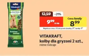 Kakadu Kolba dla gryzoni Vitakraft oferta