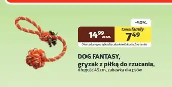 Kakadu Gryzak Dog Fantasy oferta