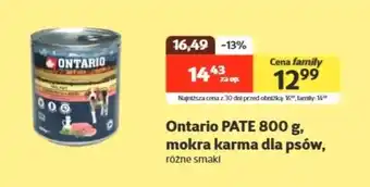 Kakadu Karma dla psa Ontario oferta