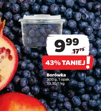 Netto Borówka oferta