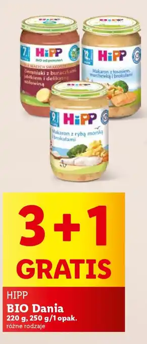 Lidl HIPP BIO Dania 220 g oferta