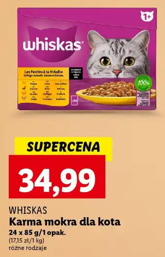 Lidl WHISKAS Karma mokra dla kota 24 x 85 g oferta