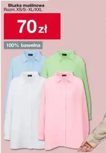 Woolworth Bluzka oferta